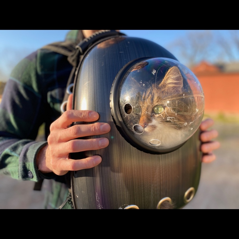 Meet your Posher, Robert